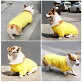 Осенний демисезонный пуховик, желтый зимний шнурок-держатель