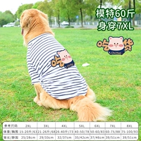 Полосатая пища тонкая