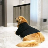 Большая собачья одежда, большая собака осень, зима и зима, теплая зима, золотистый ретривера, зимняя одежда на самуи