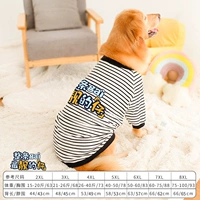 Полосатый красивый весенний стиль