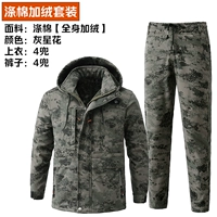 Цветок серой звезды 【Полиэфир хлопок и промежность свободной талии】