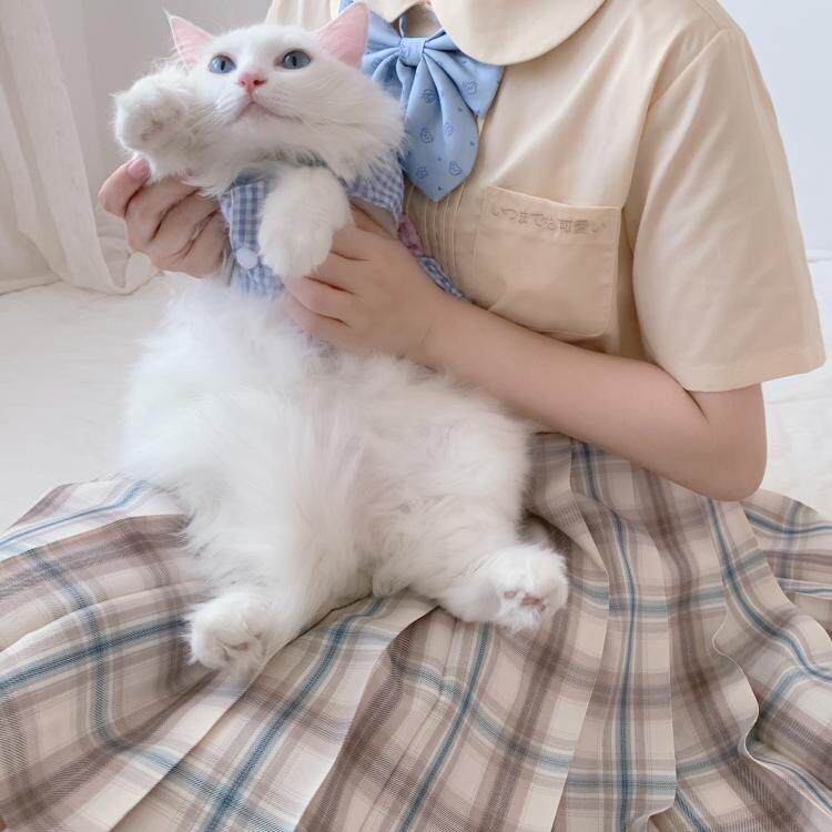 Kasugabe (gradient milk cover) spot original jk uniform orthodox plaid women's pleated skirt cat gentle autumn and winter