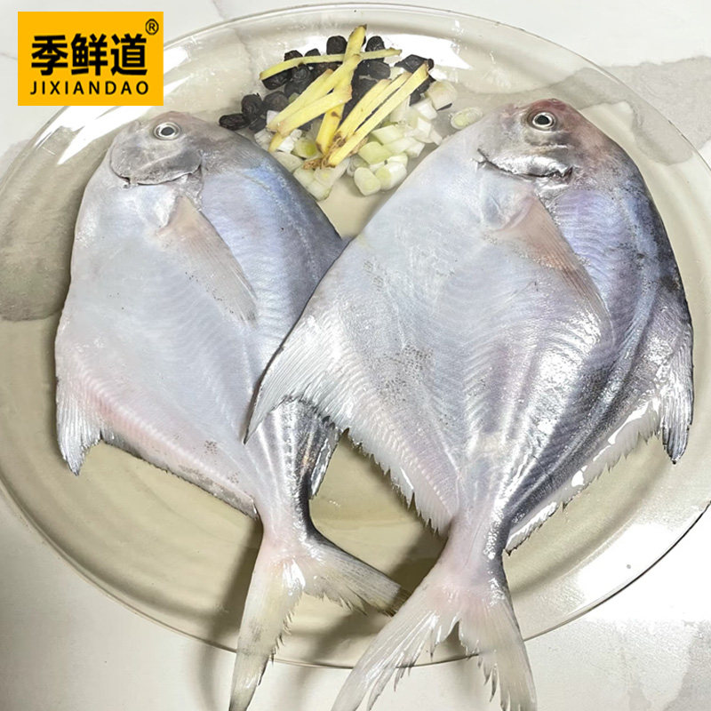 季鲜道本港白昌鱼为何被称为海鲜界的“深海小王子”?-鲳鱼-淘宝好物网