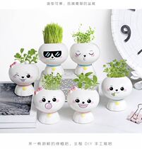 Shake-in-style Herb Long Grass Doll Cute Mini Little Plant Indoor Long Grass Diy Mini Creative Little Plant