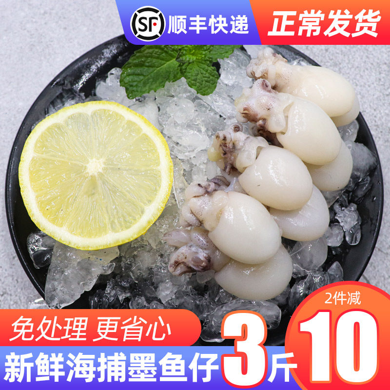 North Sea ink fish paparazzi fresh frozen and peeled fresh frozen flowers branches Little squid eyes fish squid squid sea rabbit three catties