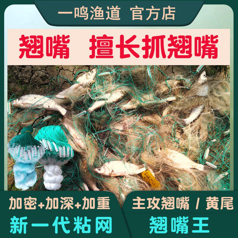 Teething Internet Nuggets Dimmy Fish Sticky Nets Nets Nets Nets Floating Nets Three Layers Of Fishing Nets Crypto New Summer Season