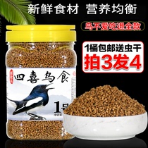 Four likes bird food Magpie small black white bird feed long tail four happy Shrike bird food bird food bird food thrush family flycatcher special material