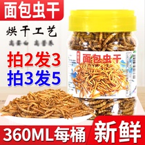 Bird food feed breadworm dried beetle bird food Starling bird food pet bird snack