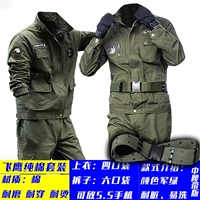 Издание по поясу летающих орла