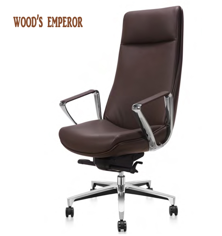 Office chair Home owner chair Jane about ergonomic leather computer chair light and luxurious electric race chair leather art president swivel chair
