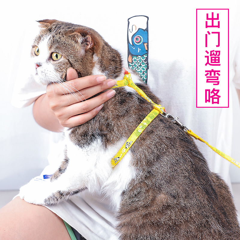 Kitty Special Traction Rope Anti-Escape of Cat Rope Cat Chain Son Cat Walking Cat Rope Pet Out of Baby Bag Neckline