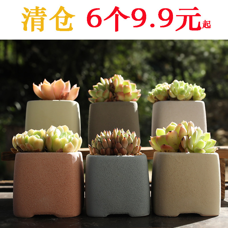 Simple succulent pot ceramic Korean fresh hand-painted interior creative personality coarse pottery breathable small pot clearance