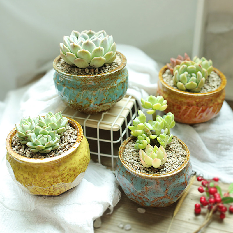 Jingdezhen Creative Kiln Variation Succulent Flower Pot Ceramic Classical Size Green Plant Coarse Pottery Breathable Wholesale Succulent Pot
