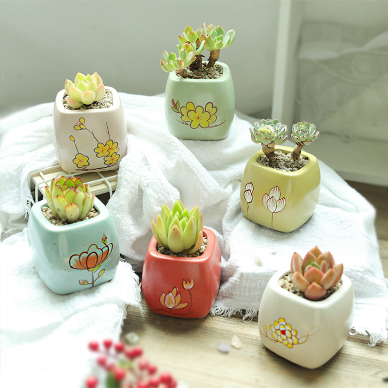 Han Style Multimeat Flower Pot Ceramic Minimalist Personality Creative Small Basin Hand-painted Coarse Pottery Meat Flower Pot Master Green Plant Special Price-Taobao
