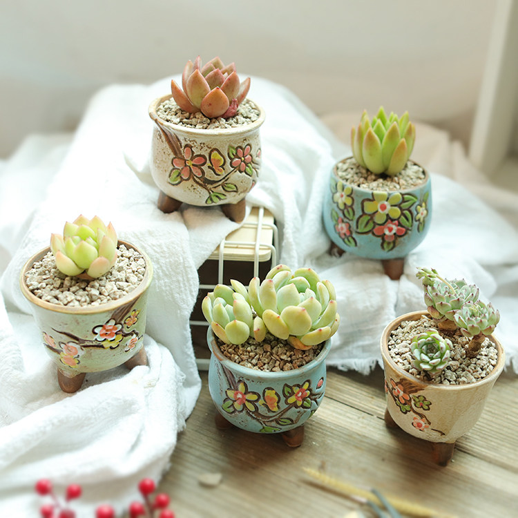 Simple personality succulent plant flower pot ceramic breathable hand-painted mini Korean rough pottery thumb pot small special price