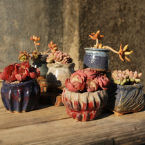 Jingdezhen Medical Stone Multimeat Plant Flower Pot retro Breathable Coarse Pottery Absorbent Individuality Hand Control Type Meat Basin Special Price