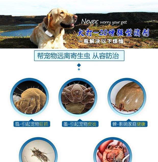 Chó nhỏ bị điếc làm sạch mèo và chó ngoài việc khử nhiễm ngoài bọ chét nói chung bên ngoài sử dụng chó tăng cường để chống lại 20 lần tẩy giun trong ống nghiệm - Cat / Dog Medical Supplies 	kim tiêm cho mèo