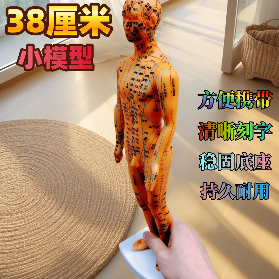 38CM人体针灸模型经络穴位模型身体十二经络铜色模特图可扎针