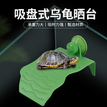 Dofish turtle supplies Water Turtle Turtle Sun Back table Climbing Terrace Shallow Water Deep Water Turtle Tank Floating Platform for View Turtle Terrace