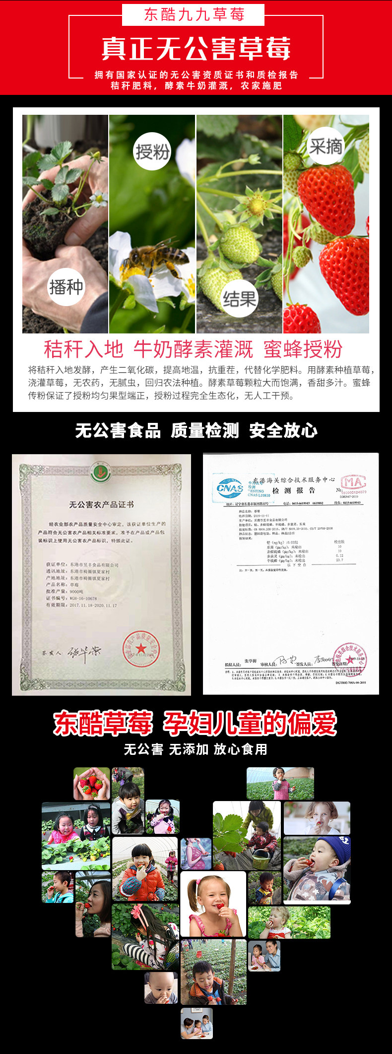 东酷 丹东99新鲜草莓 3斤 图4