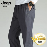 A828 Grey - обычная модель