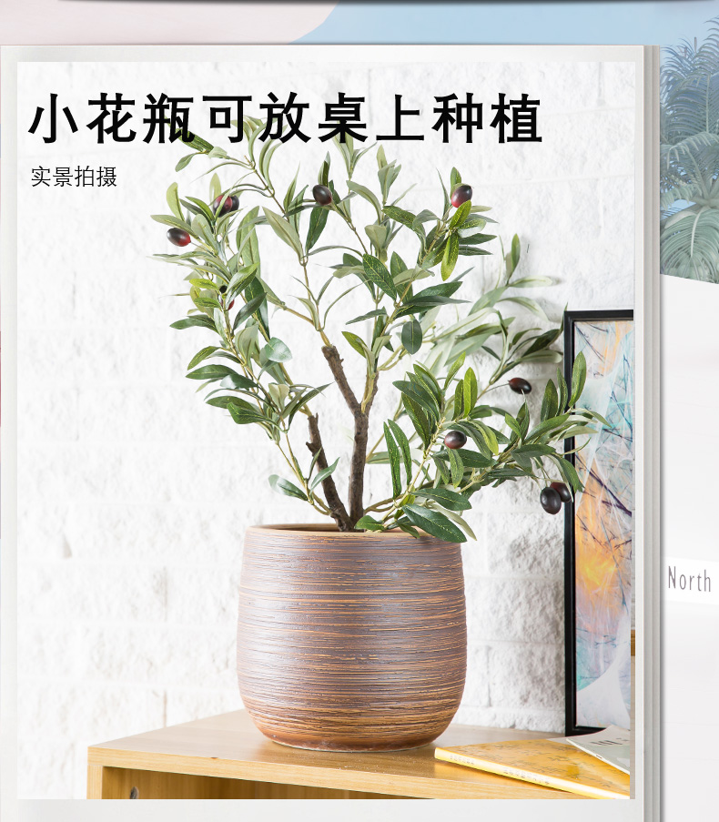 I and contracted flowerpot jingdezhen ceramic floor balcony desktop sitting room other tiger orchid hotel courtyard furnishing articles