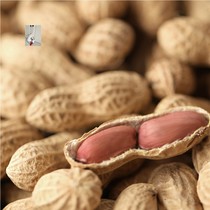 Youwei Valley Modu Bofu Recommend Youwei Valley Traditional Carbon Roasted Peanut New Rice 200g Nutritious and Healthy