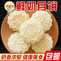 Yuchen preferred Inner Mongolia milk moon cake original yogurt two flavors really nutritious milk fragrance rich milk flavor
