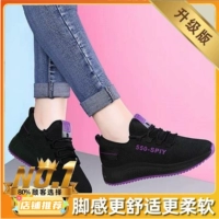 【Укрепление обновления】 550 Черно -пурпута