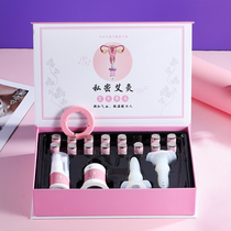 Kit spécial de moxibustion privée et de salon de beauté pour le conditionnement gynécologique réchauffeur de parties intimes féminines cathéter en silicone de moxibustion vaginale pour un usage domestique