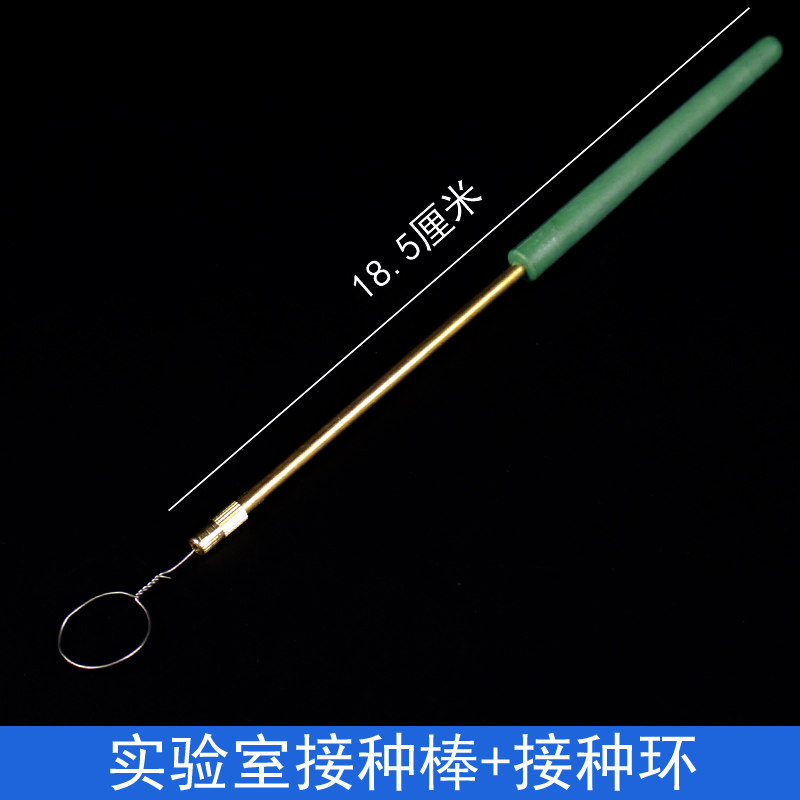 接种棒接种环初中高中生物实验室微生物细胞细菌培养用具无菌接种教学仪器器材