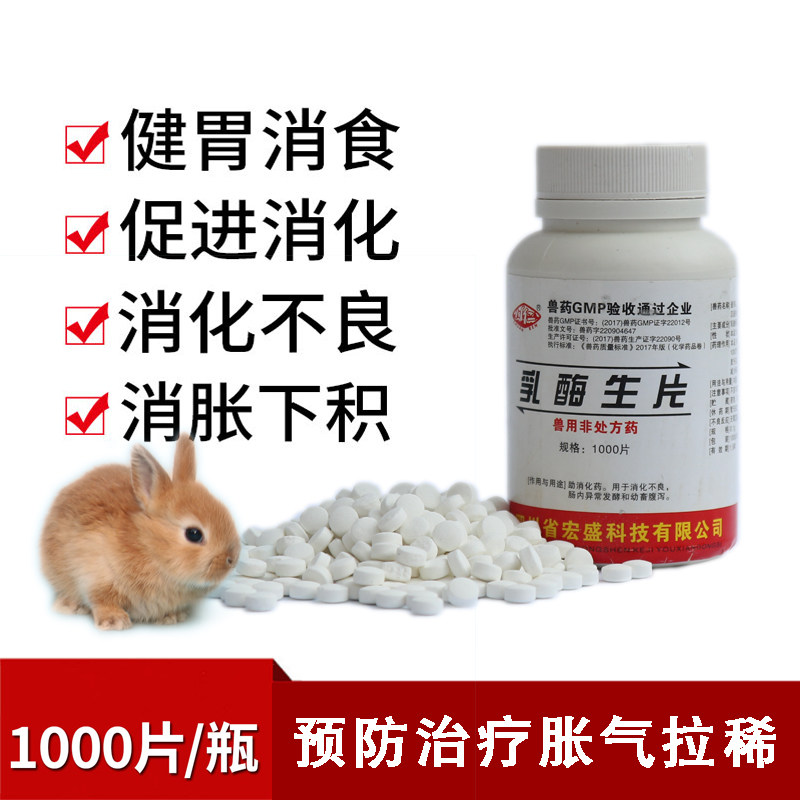 Lactase raw tablets veterinary indigestion pet rabbits, guinea pigs, cats and dogs, appetizers, aids in digestion, veterinary medicines