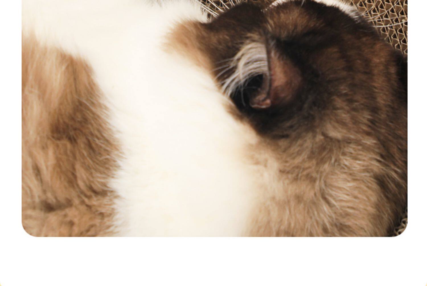 Когтеточка 猫抓板猫窝一体耐磨耐抓不掉屑圆形特大号瓦楞纸猫爪板盆猫咪玩具