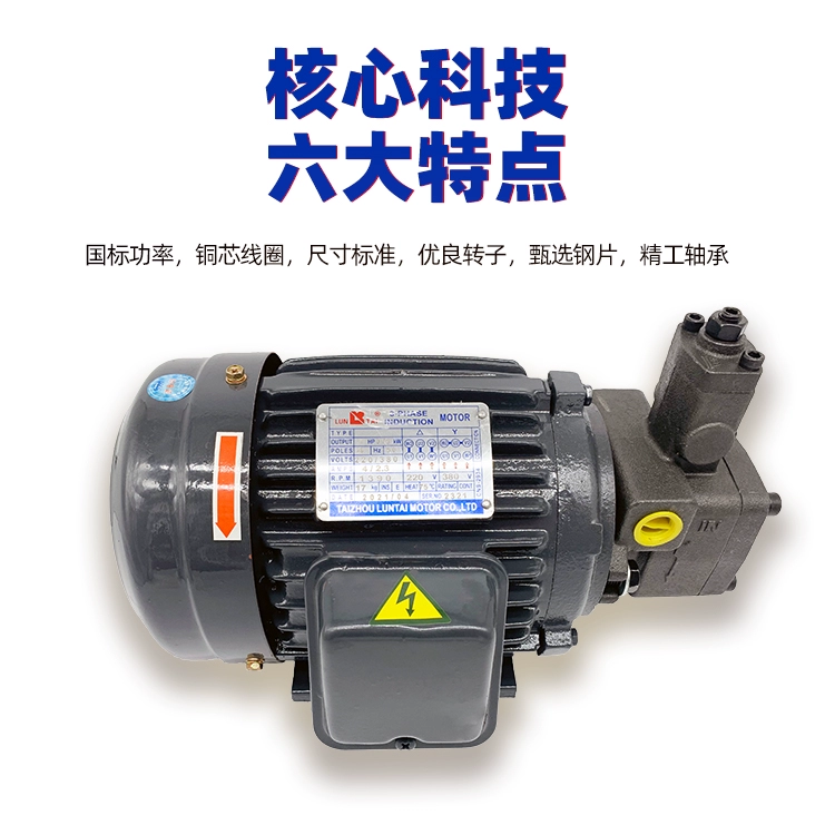 bơm thủy lực xe nâng tay cao Bộ động cơ bơm dầu thủy lực VP20-30+0.75-1.5KW cụm bơm thủy lực động cơ ngang hệ thống trạm thủy lực bơm thủy lực bánh răng mini phục hồi bơm thủy lực