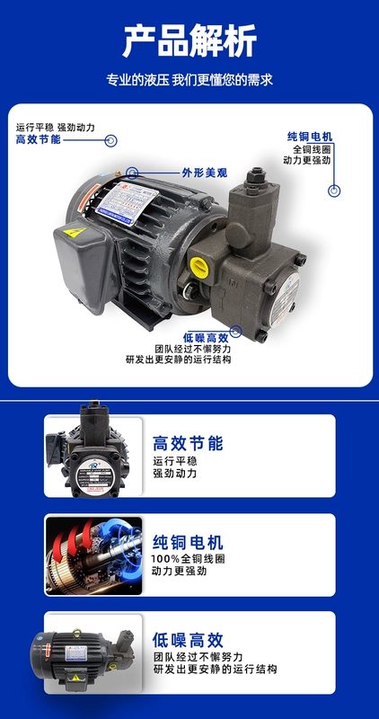 bơm thủy lực xe nâng tay cao Bộ động cơ bơm dầu thủy lực VP20-30+0.75-1.5KW cụm bơm thủy lực động cơ ngang hệ thống trạm thủy lực bơm thủy lực bánh răng mini phục hồi bơm thủy lực