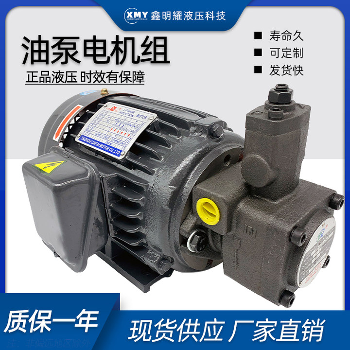 Hydraulic pump motor set VP20-30 0 75-1 5KW hydraulic pump assembly horizontal motor hydraulic station system