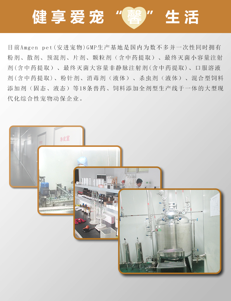 Anjin pet Wei Lijian vitamin tổng hợp b bột mèo chó rối loạn tiêu hóa viêm miệng nhật thực nuôi dưỡng lông - Cat / Dog Health bổ sung sữa cho chó bầu 