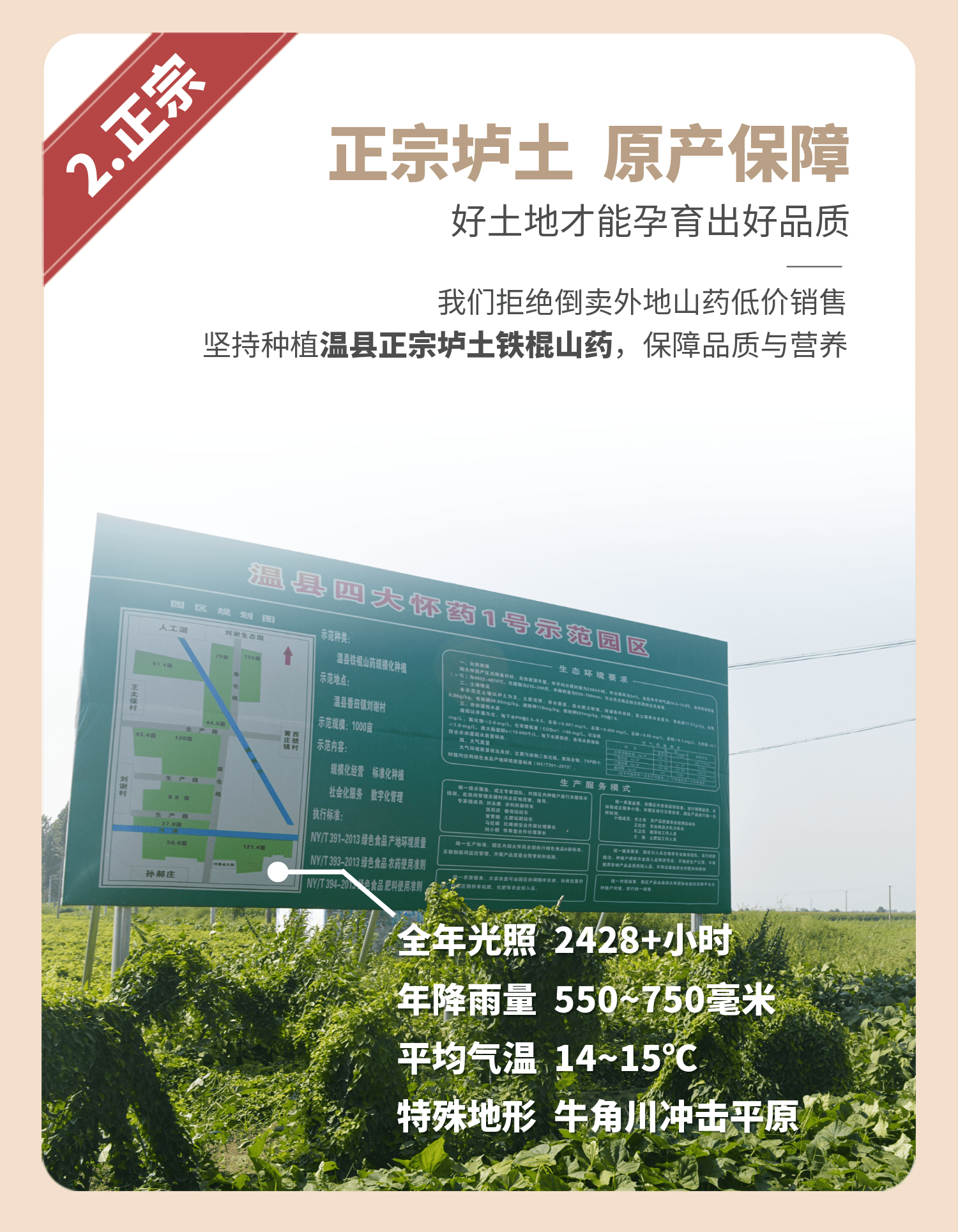 药食同源 怀府街 河南焦作温县铁棍山药 净重5斤 图9