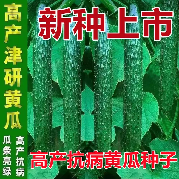 Товары от 蒙力克旗舰店