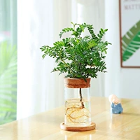 Круглая бутылка+ароматное дерево