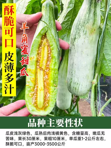 Угловые семена меда хрустящие хрустящие дыни арбуз плотные фрукты, преждевременный высокий урожай, четыре сезона саженцы семян растительных семян с балконами