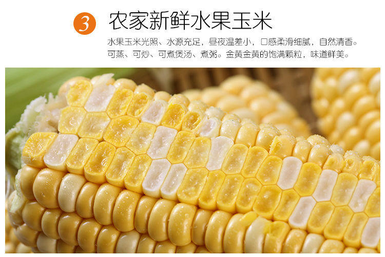 金吉圣 云南水果玉米 9斤 图9