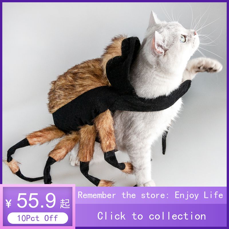 Halloween Pet Cat Dog Spider Costume Cool Cosplay Pet Spider Cosplay