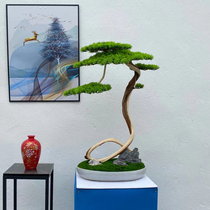 Taihang cliff cypress rock cypress simulation bonsai Welcome pine tree root carving wood carving branch ornaments Home garden landscaping potted plants