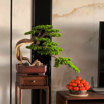 Cliff cypress simulation fake bonsai Welcome pine Pine entrance partition Wood carving ornaments Plant decoration New Chinese decoration