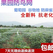 Orchard bird-proof nets nets fences greenhouses crops flower stands grape racks outdoor Cherry nets