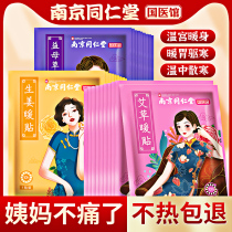 Tongrentang Wormwood ginger warm paste self-heating mother grass warm baby paste to relieve the big aunt pain Palace cold warm paste