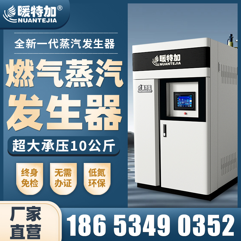 Steam Generator Commercial Gas Steam Generator 0.3-2 Tons Large Industrial Food Chemical Steam Boiler