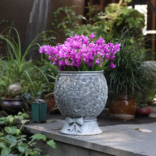 Воздуха цветочный горшок большой калибр Суккуленты завод гостиная комнатные балкон сад Макет ландшафтный дизайн патио творческий декоративный