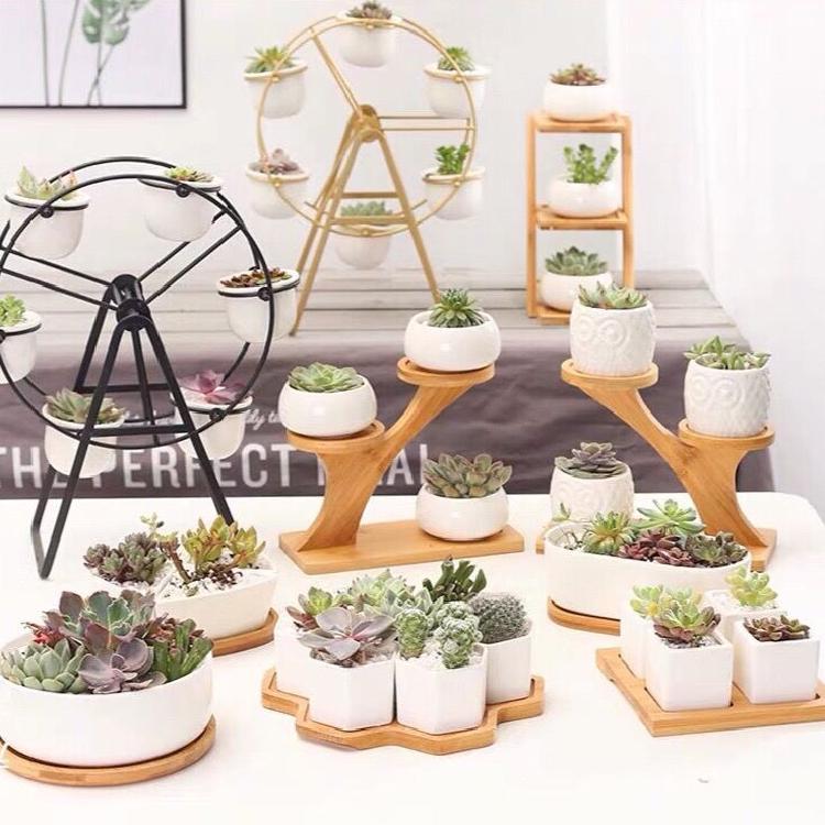 Fleshy special ceramic the plants, wrought iron flower pot in creative move, Nordic contracted white ferris wheel set combination